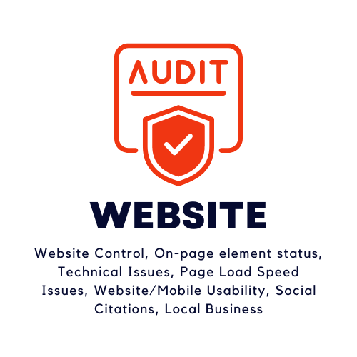 Website Audit